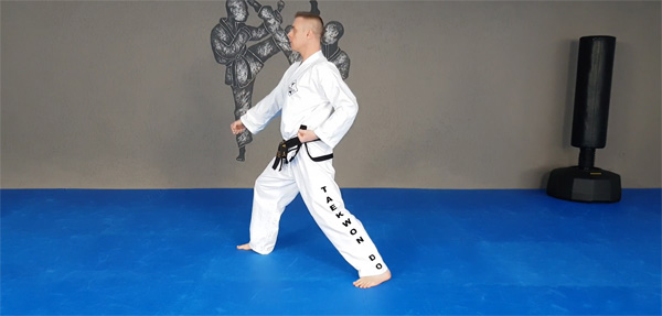 Online Taekwondo Stream von Michael Hecht