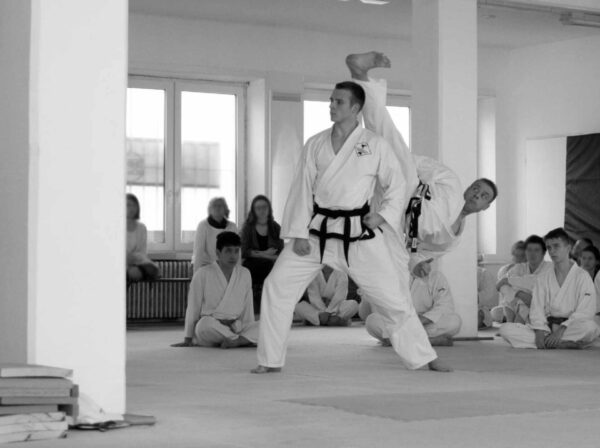 Selbstverteidigung und Kampfsport in einer unsicheren Welt: Taekwon-Do im Fokus