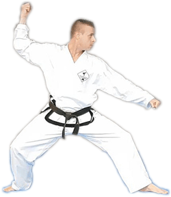 Hybrid Taekwondo Kampfkunst,Fitness,Selbstverteiidigung,Kampfsport
