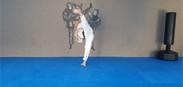 taekwondo hyong