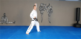 formen im Taekwondo